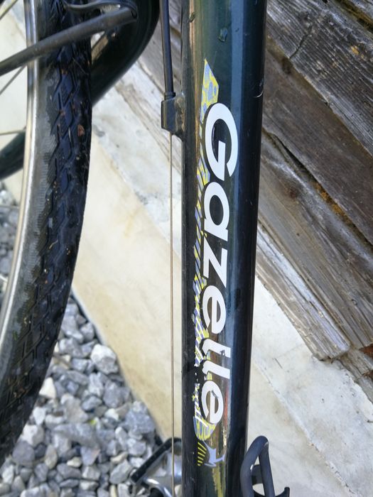 Rower Gazelle Hybride