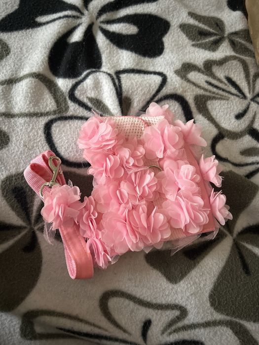 Поводок для собаки