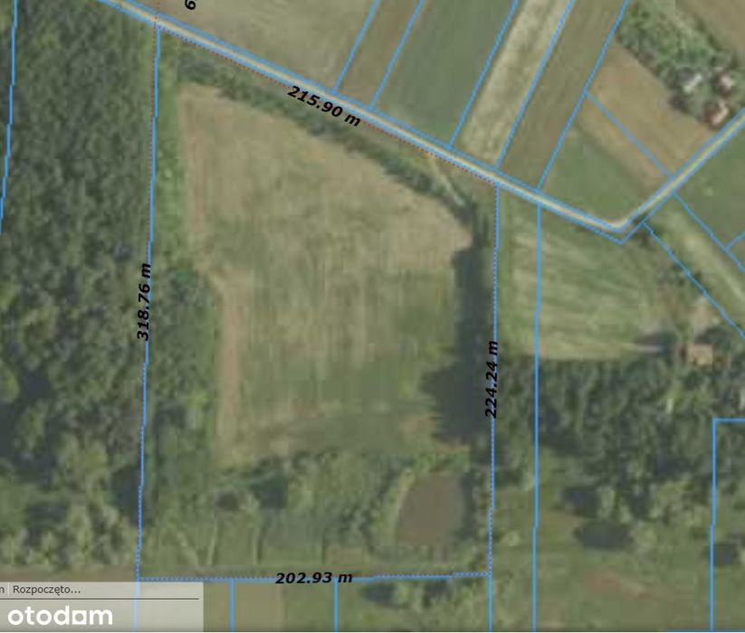 Działka rolna 5,56 ha Ławy powiat kazimierski