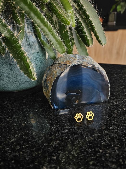 Kolczyki łapki łapy pies kot