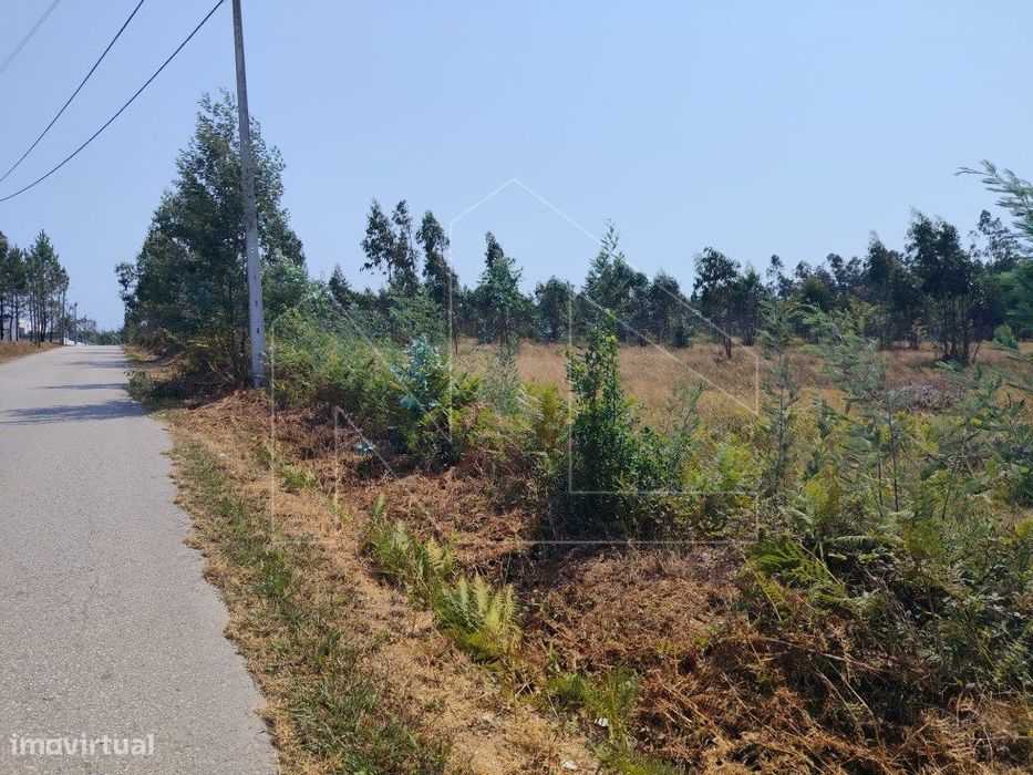 Terreno Urbano com Excelente Frente em Valongo do Vouga