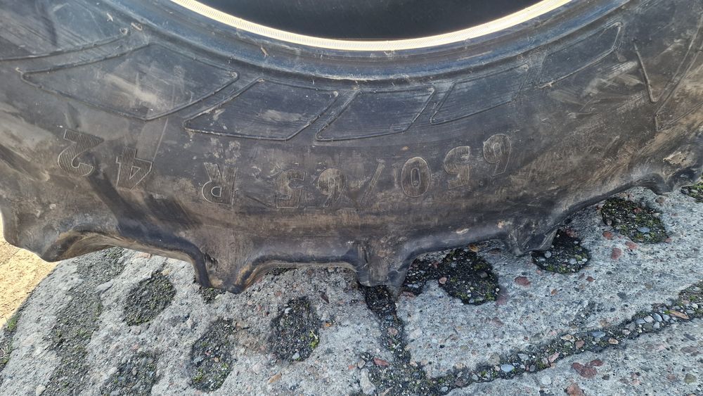 650/65r42 Mitas SST