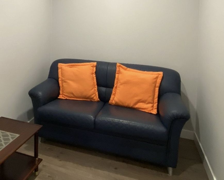 Conjunto de sofás de pele (sofá + sofá-cama)