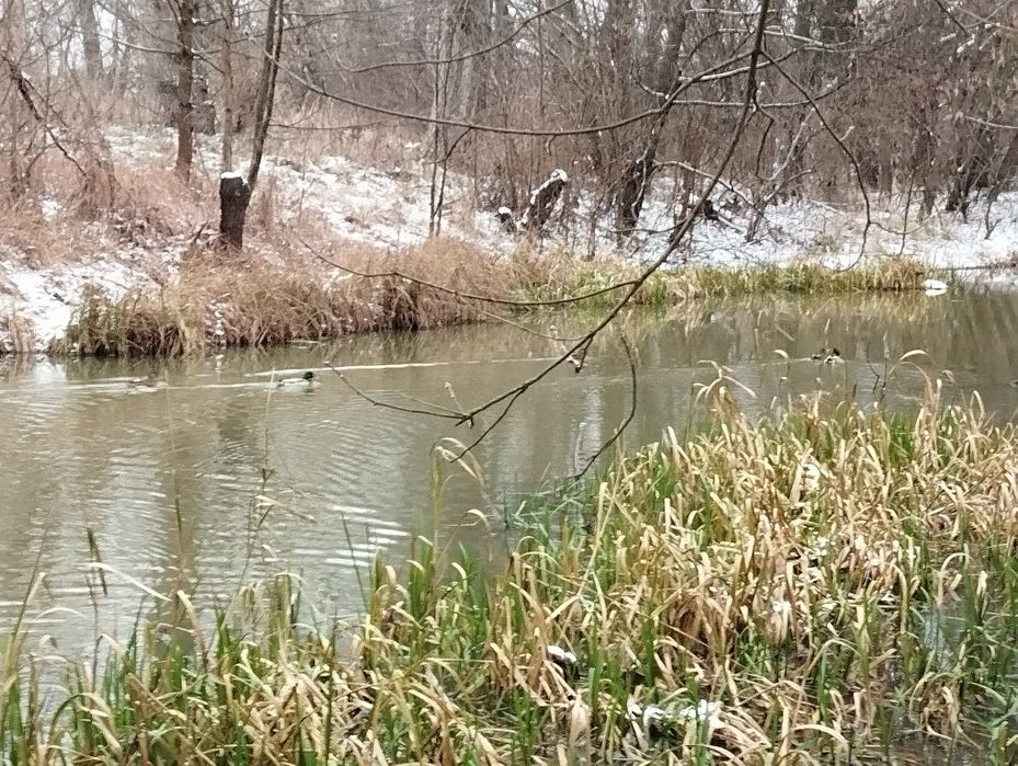 Продам дачу в р-н Ст. Подусівка ст "Механізатор"