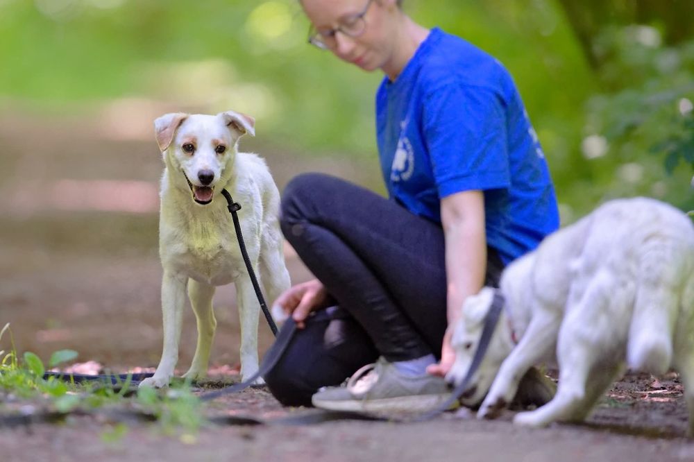 Mloda sunia Spinka blaga o dom