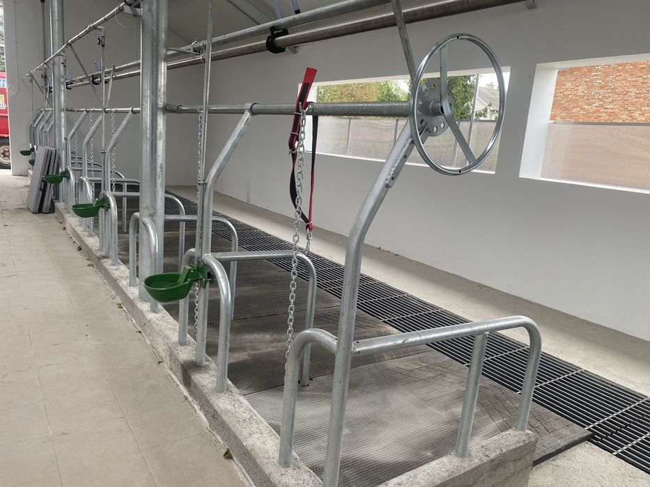 Ruszt ruszta kraty dla bydła wygrodzenia stanowiska maty