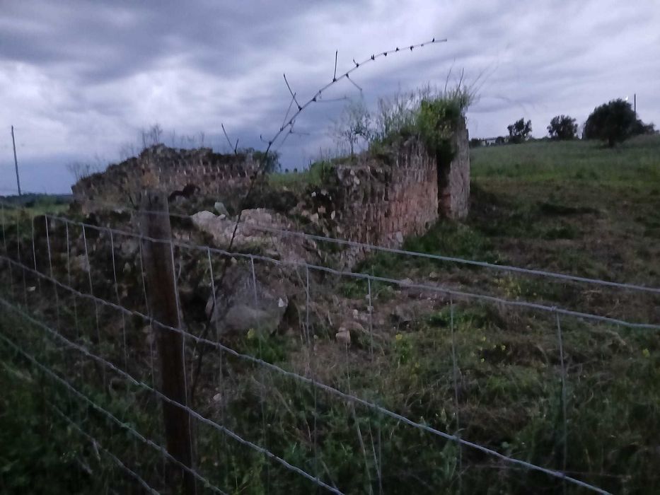 Terreno com olival  tradicional  14000 m2 e possibilidade de construção de  moradia com 140 m2