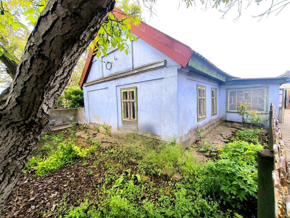 Продається два будинки в центрі с.Великий Дальник