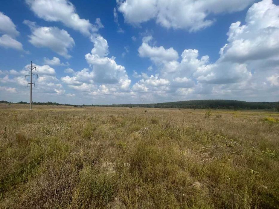 Продаж ділянки під товарне виробництво 160 соток