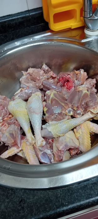 galos caseiros criador ao ar livre com espigão.