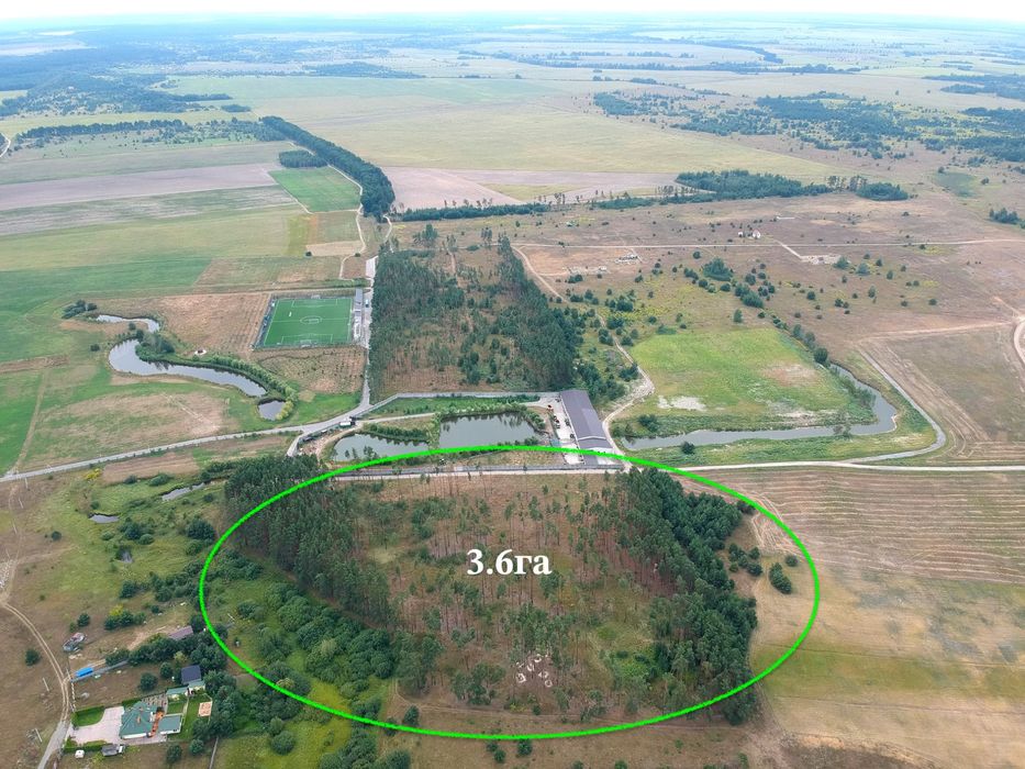 Земельна Ділянка в сосновому лісі 1.8га під забудову 500у, е, сотка