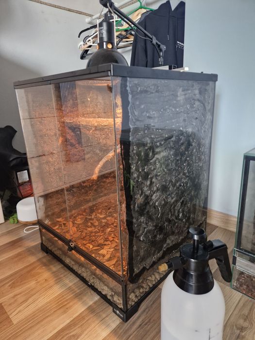 Terrarium dla gekona
