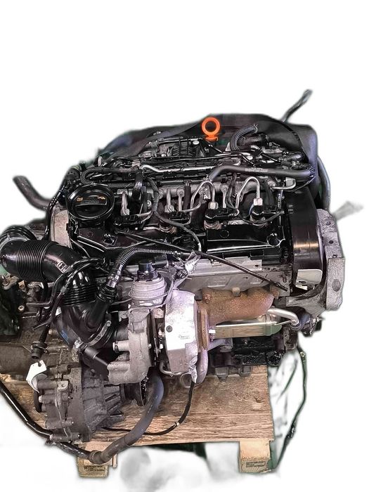 Motor Completo VW GOLF VI 1.6 TDI (77 kW / 105 cv) [02.2009 - 11.2012] CAYP (OEM)
