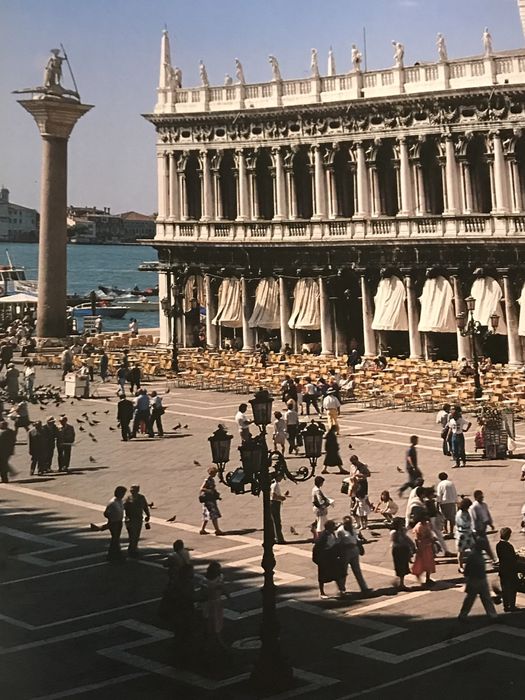 Veneza livro sobre os palacios venezianos