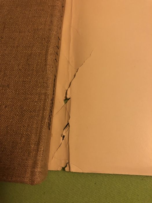 Żywa sztuka współczesności