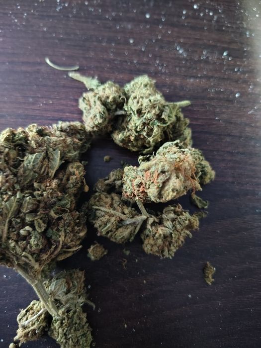 Dowóz 24/7 Mega Skunk Skun 10 gram CBD