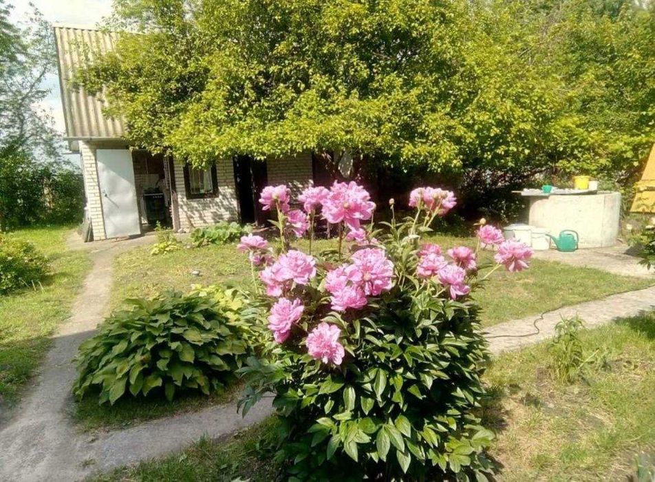 Просторий будинок в Загальцях - тихе місце для життя.