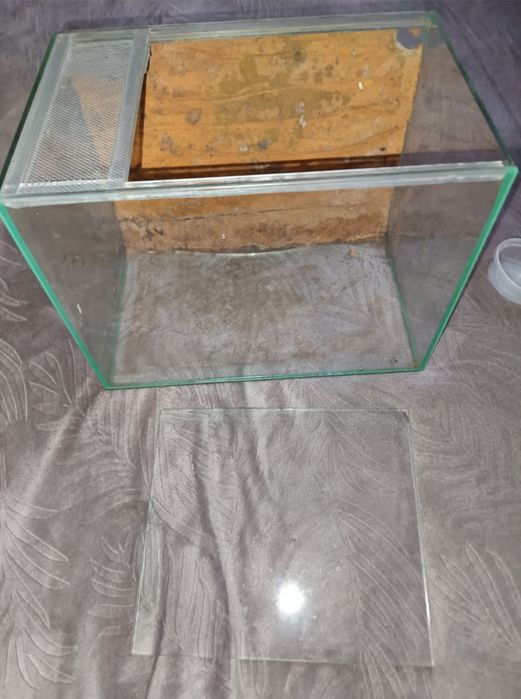 Terrarium dla zwierząt egzotycznych