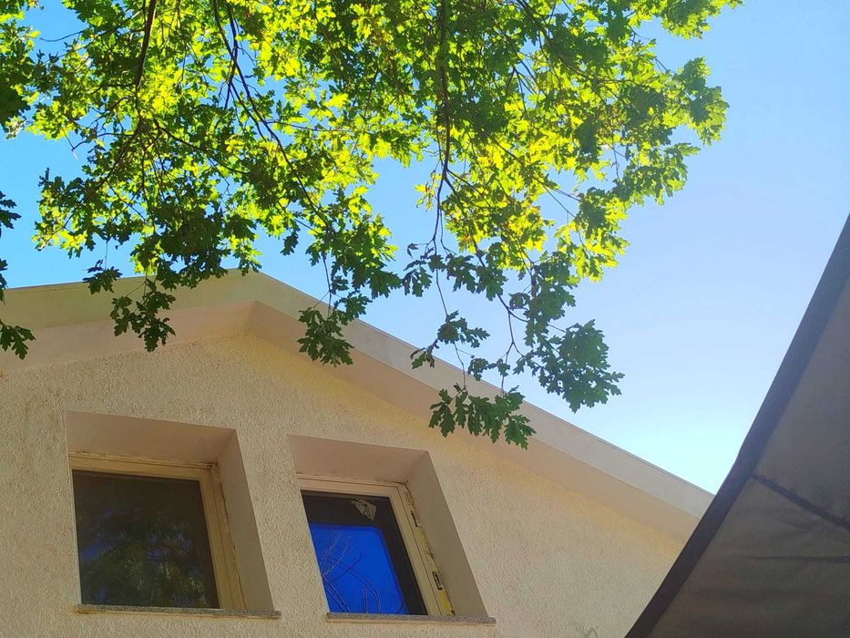 Arrendo Quinta em Gouveia