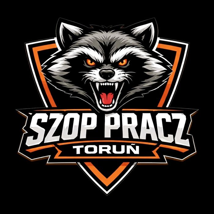 Pranie Tapicerki i Ozonowanie