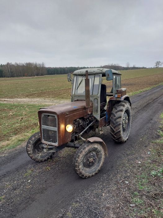 Zetor 3011 Major Sprawny/Zarejestrowany/Ładne Gumy