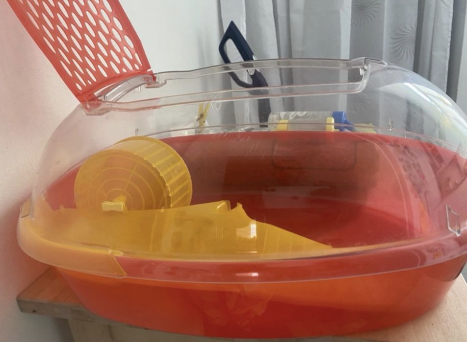 habitat para hamster/ tartarugueira