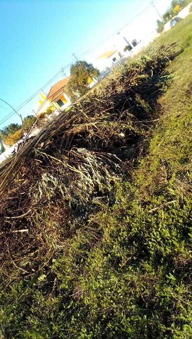 Limpeza de Terrenos, Quintas, Jardins, etc com Roçadora