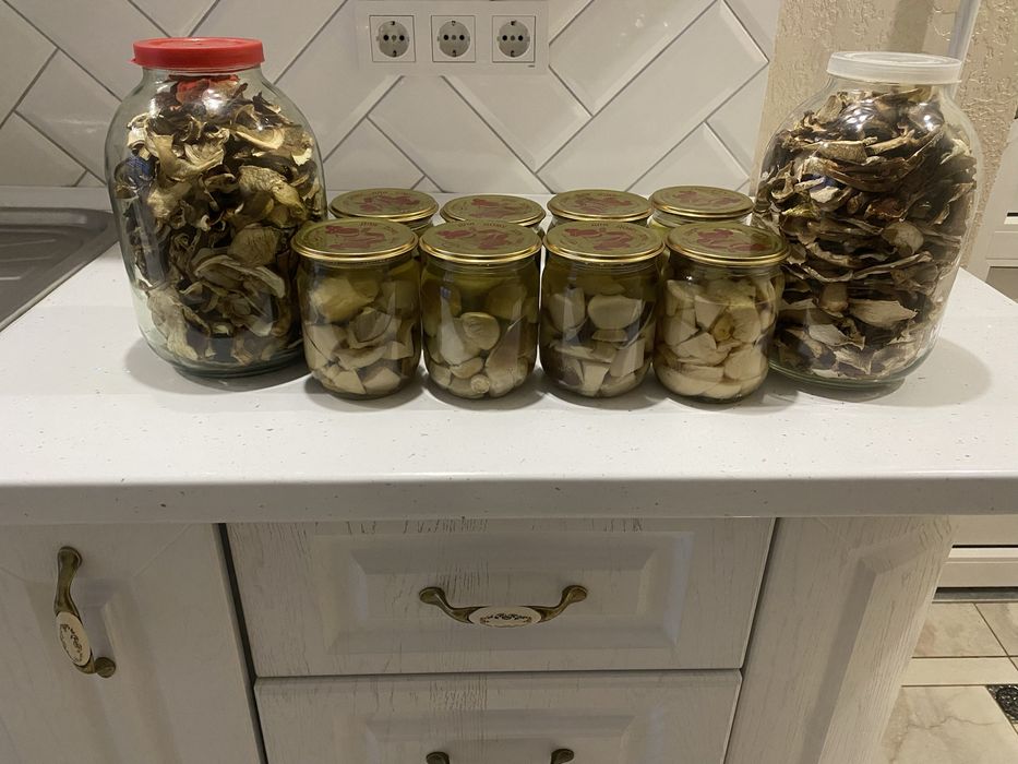 Гриби мариновані і сухі