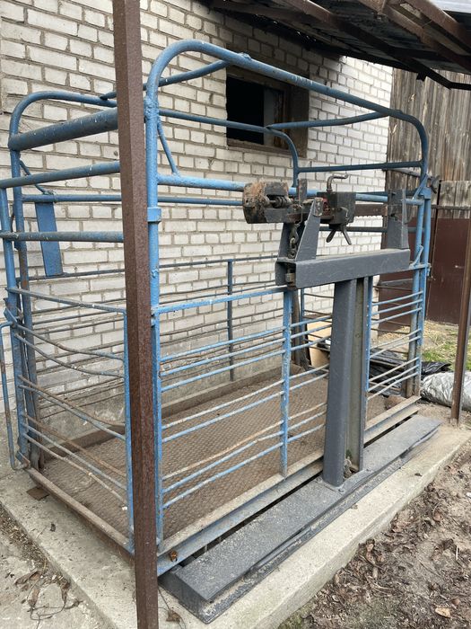 Waga inwentarzowa do żywca