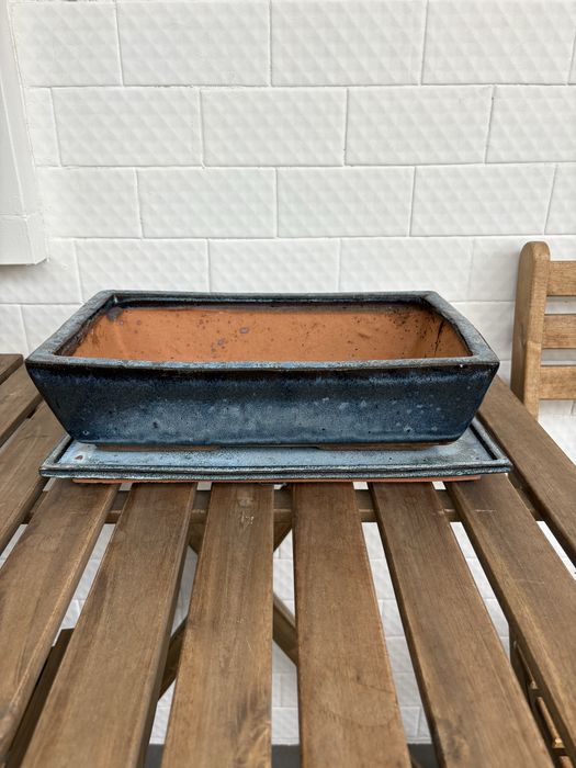 Vaso e prato base Bonsai