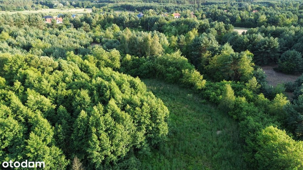 Wyjątkowa działka pod zabudowę rezydencjonalną,blisko Puszczy Zielonka - Widok 3