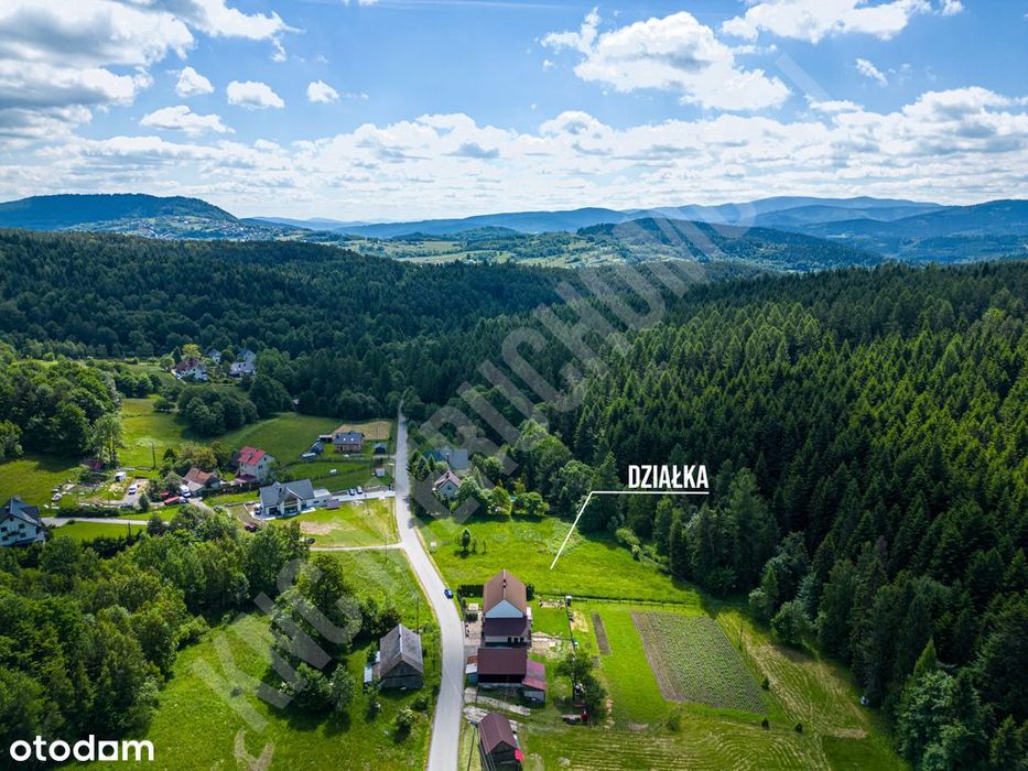 Zdjęcie 8