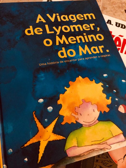 A Viagem de Lyomer O Menino do Mar, novo, portes grátis