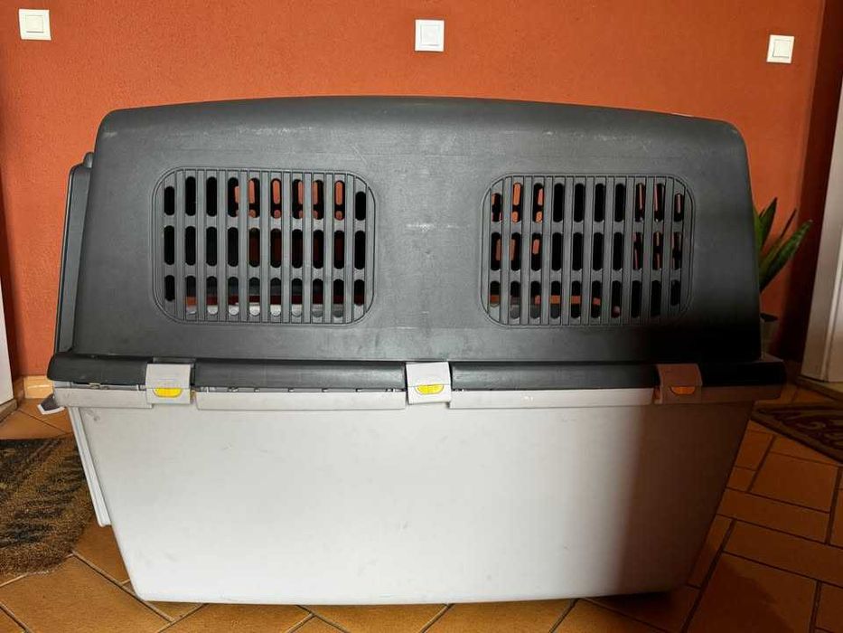 Dog Travel Box Large / Caixa de transporte Cão