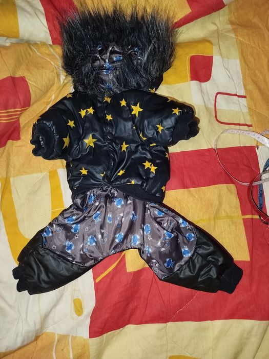 Зимняя одежда для маленьких собакчек