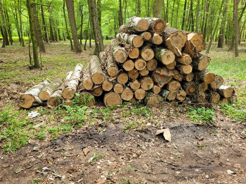 Drewno kominkowe i opałowe