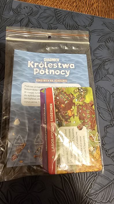 Gra planszowa Osadnicy Królestwa Północy Robotnicy na szkoleniu