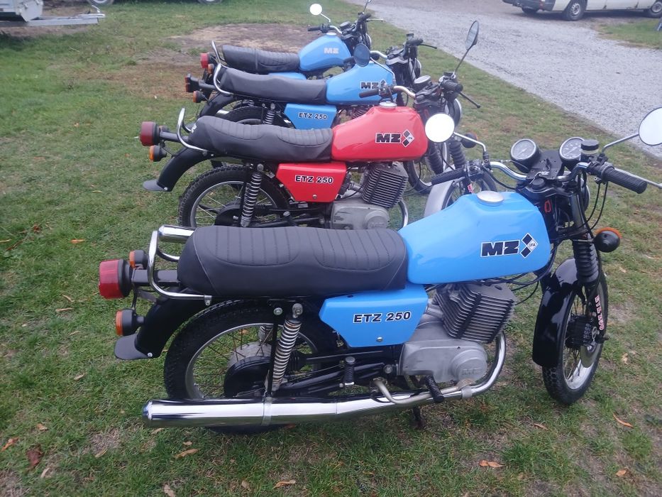 Mz