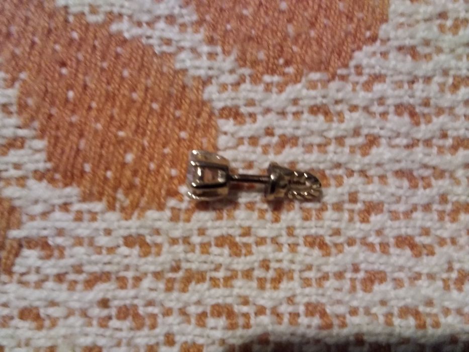 Золотая  сережка гвоздик