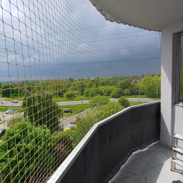Sprzątanie balkonów montaż siatek ochronnych przeciw gołębiom dla kota