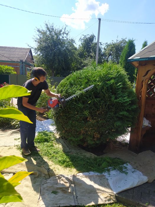 Садівник, послуги садівника, садівництво