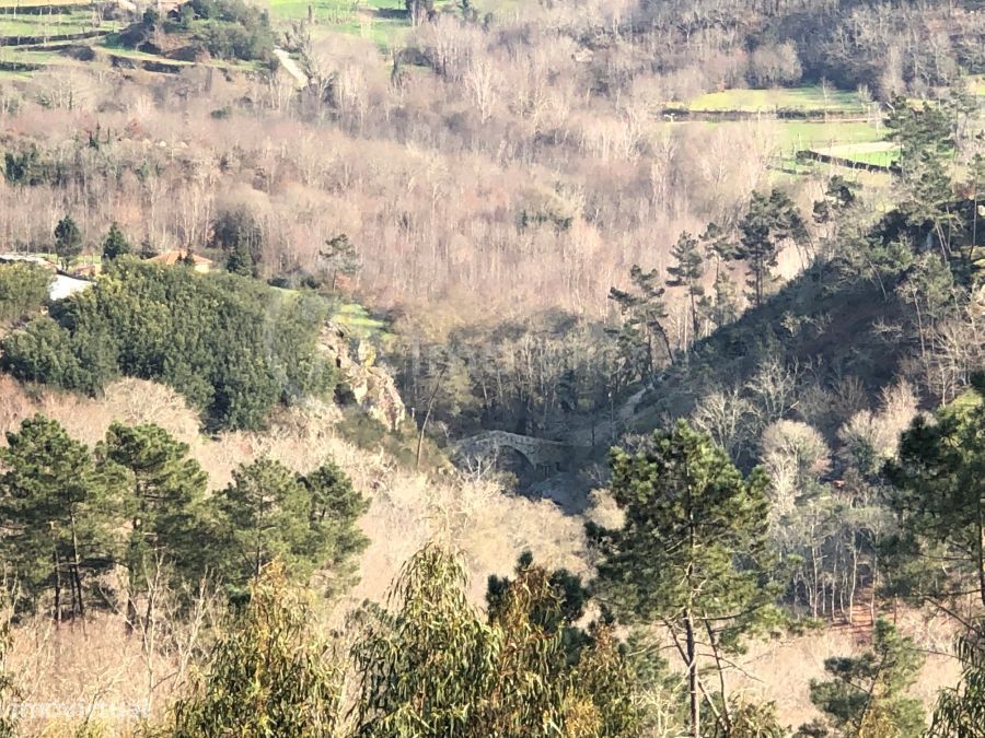 Terreno na Légua — Várzea, Aliviada E Folhada, Porto
