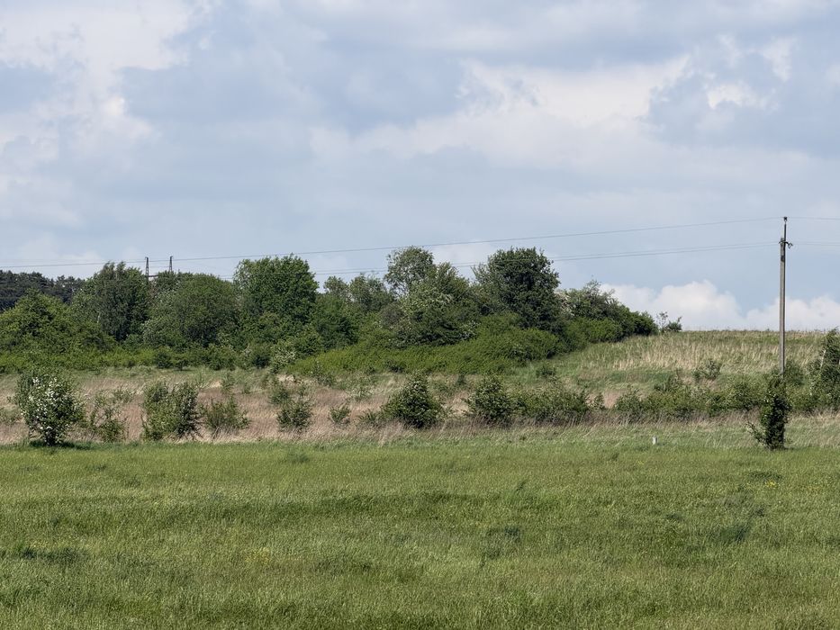 Продам Милошевичі  Пустомити 40 сотих