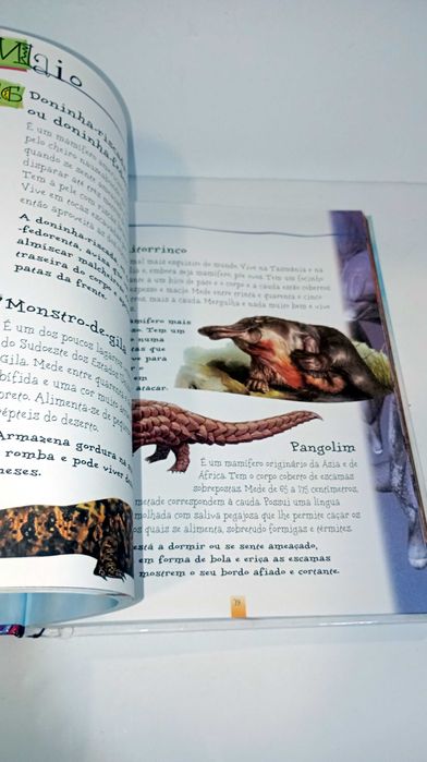 365 curiosidades Animais
