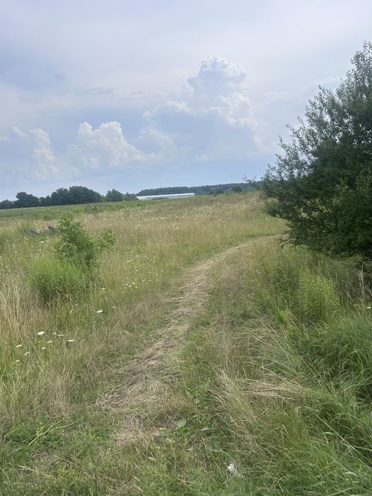 Продаж ділянки 163,5 га с.Бартатів