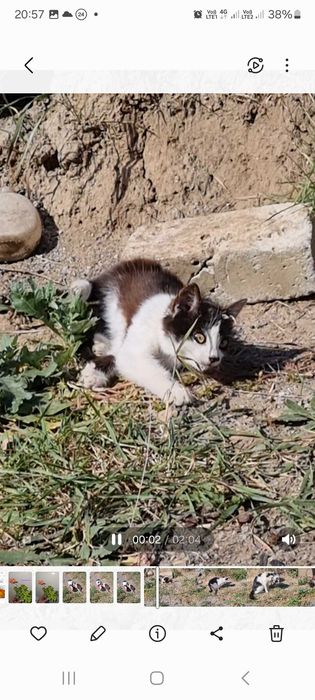 Полюшка, 4 месяца, девочка ищет дом