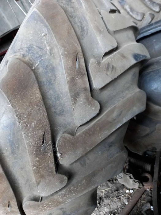 Шини та камери для сільськогосподарської техніки