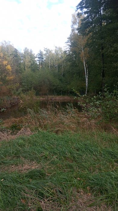 Działka rekreacyjna położona w Gminie Księżpol.