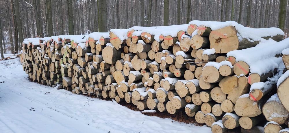 Drewno opałowe/kominkowe