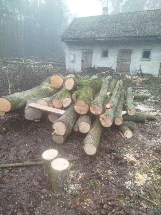 Drzewo opałowe lipa może być  na rzeźby